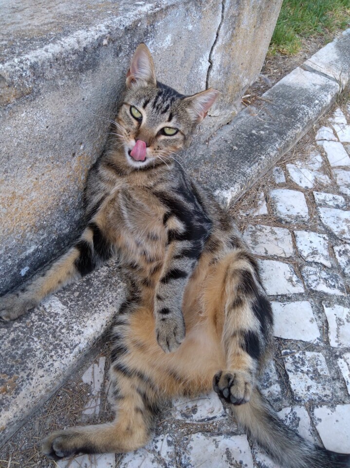 273417102_130110406175121_3205147278622264052_n.jp