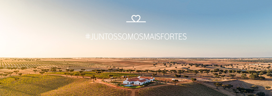 Projeto de solidariedade AMA.jpg Projeto de solidariedade AMA.jpg