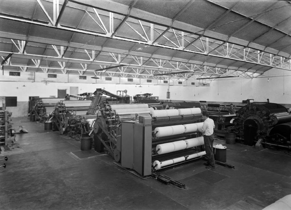 26196264_10204112576731148_6009475908428416677_n.j 26196264_10204112576731148_6009475908428416677_n.j