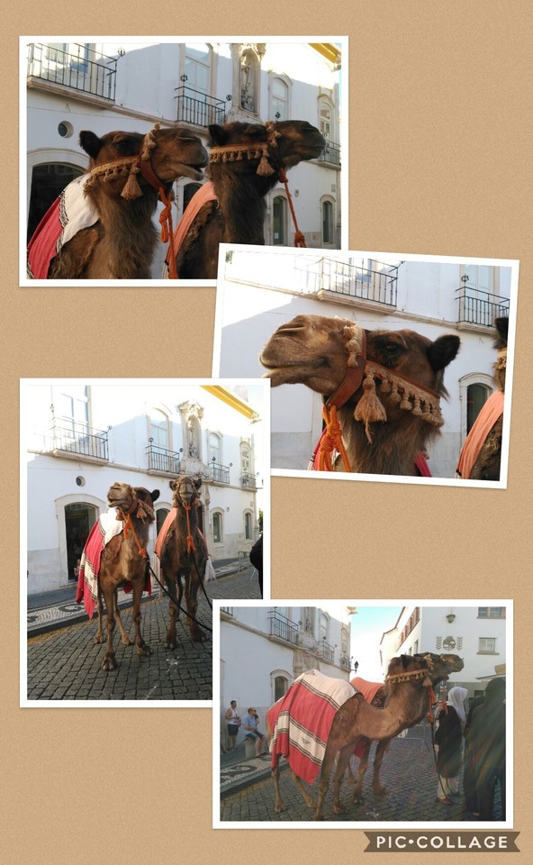 Collage 2017-07-11 22_12_32.jpg Collage 2017-07-11 22_12_32.jpg