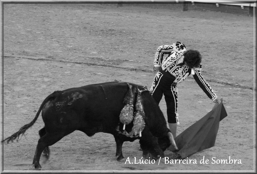 IMG_6629.JPG IMG_6629.JPG