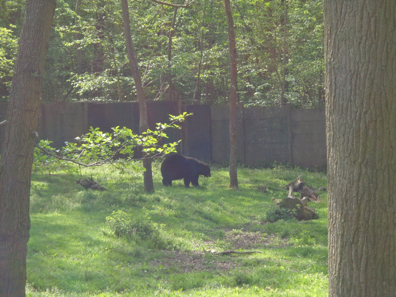 DSC09362.JPG DSC09362.JPG