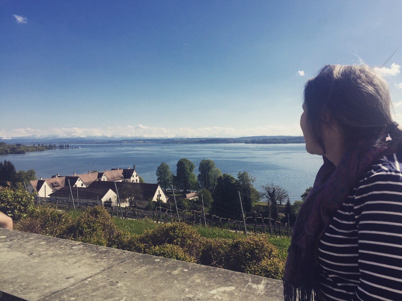 IMG_3013.JPG IMG_3013.JPG