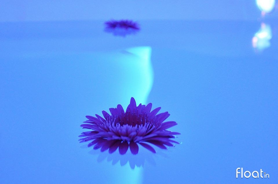 16387003_10155036495833793_8037159780710801915_n.j