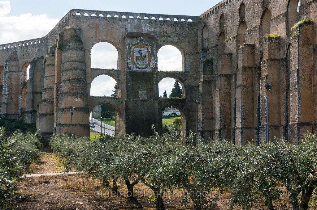 _DSC6183.jpg _DSC6183.jpg