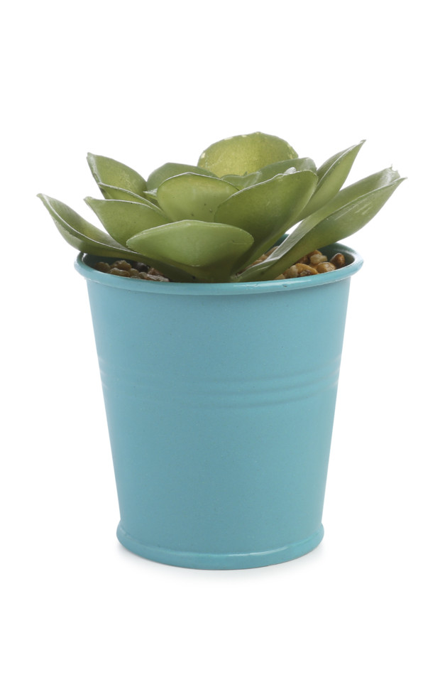 Kimball-4815003-Faux Plant Coloured Tin blue, ROI 