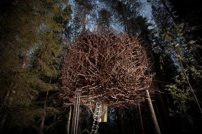 Treehotel-Sweden-Birds-Nest.jpg
