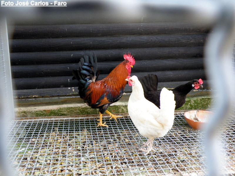 Lagos 022.JPG Lagos 022.JPG