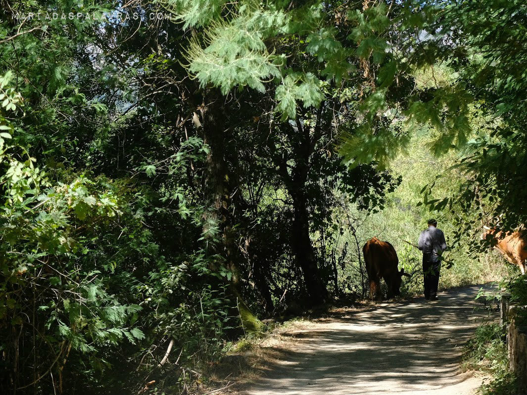 No caminho para a ponte de Misarela - Maria das Palavras