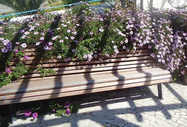 Banco de jardim 018.JPG