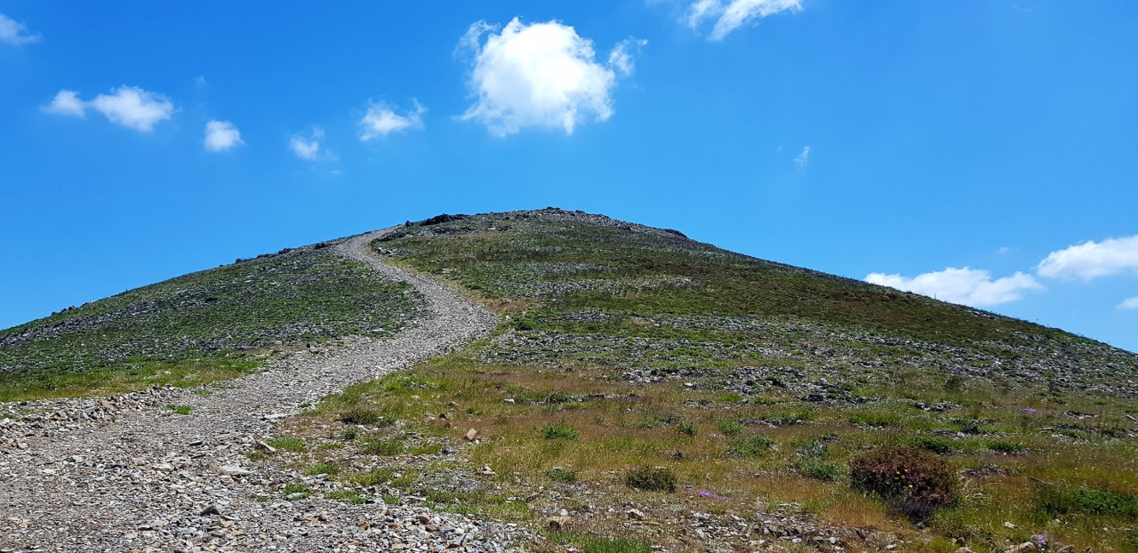 20180616_130742.jpg 20180616_130742.jpg