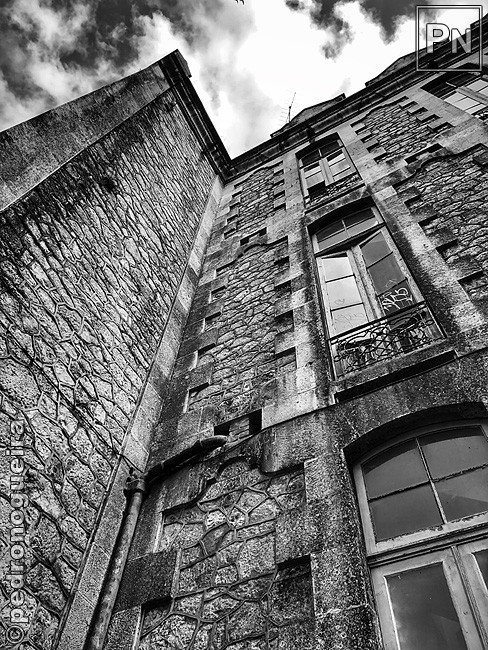 Jul_2019_017b 650px.jpg