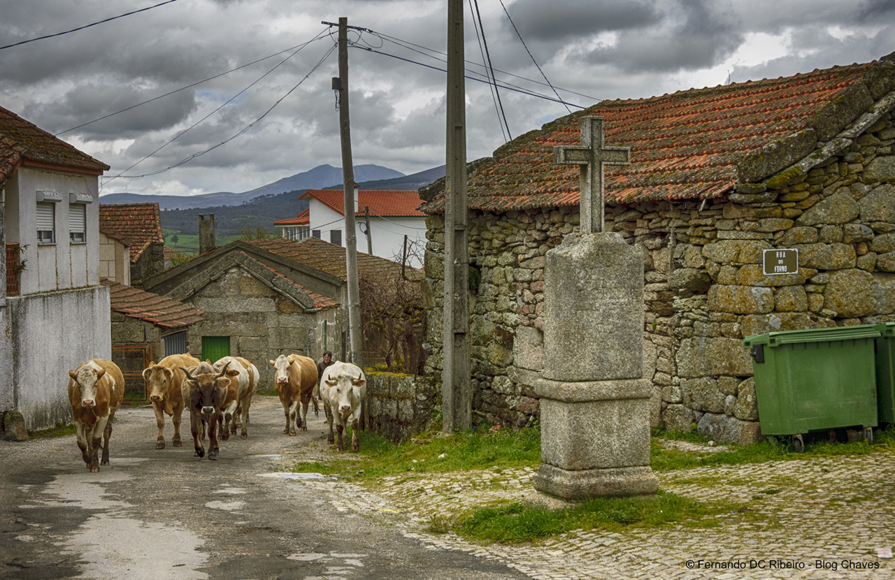 1600-morgade (44).jpg 1600-morgade (44).jpg