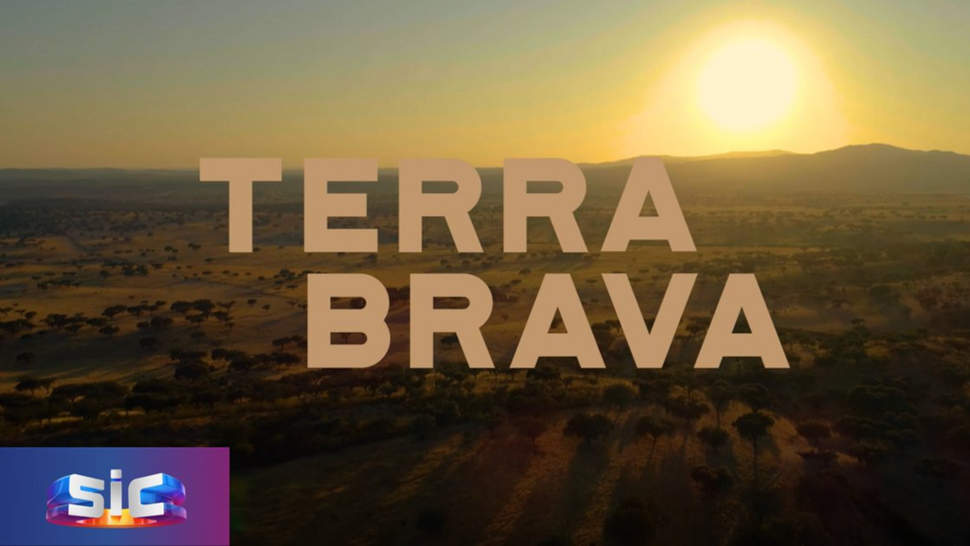 terrabrava_sic.png terrabrava_sic.png