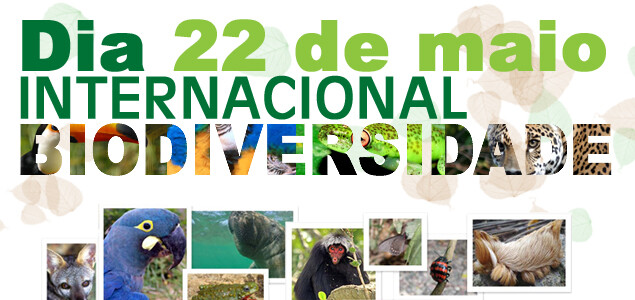 dia-biodiversidade-22-maio.jpg