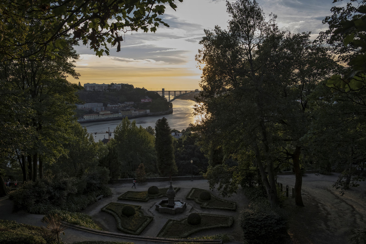 DSCF0892.jpg DSCF0892.jpg