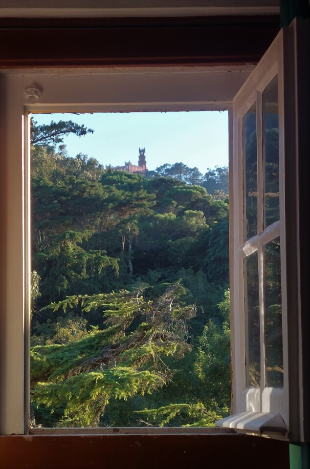 Tudo o que cabe numa janela II.jpg