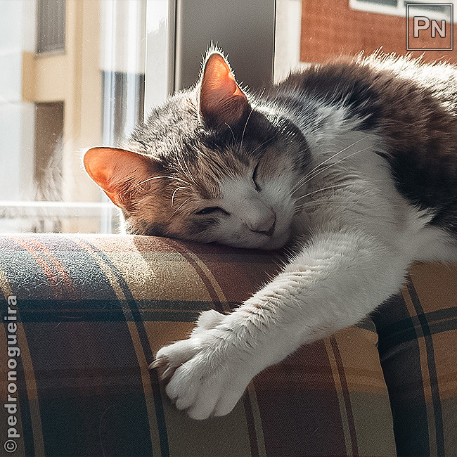 Mar_2022_007 650px.jpg