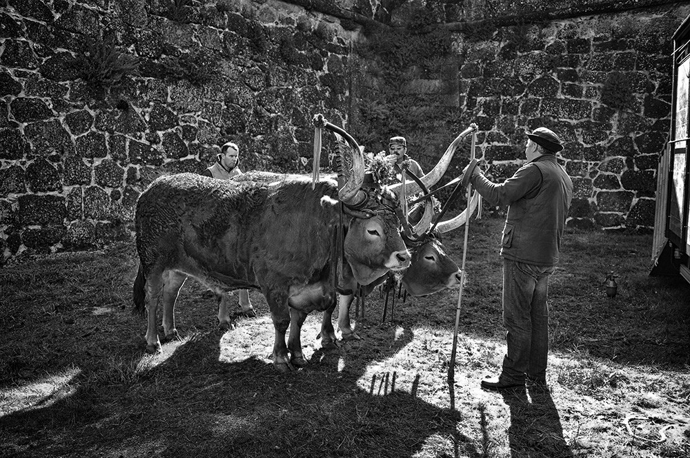 _JMD8365 - Cópia.JPG