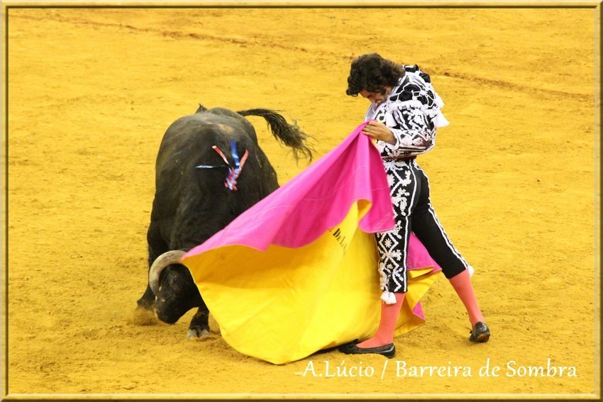 IMG_6679.JPG IMG_6679.JPG