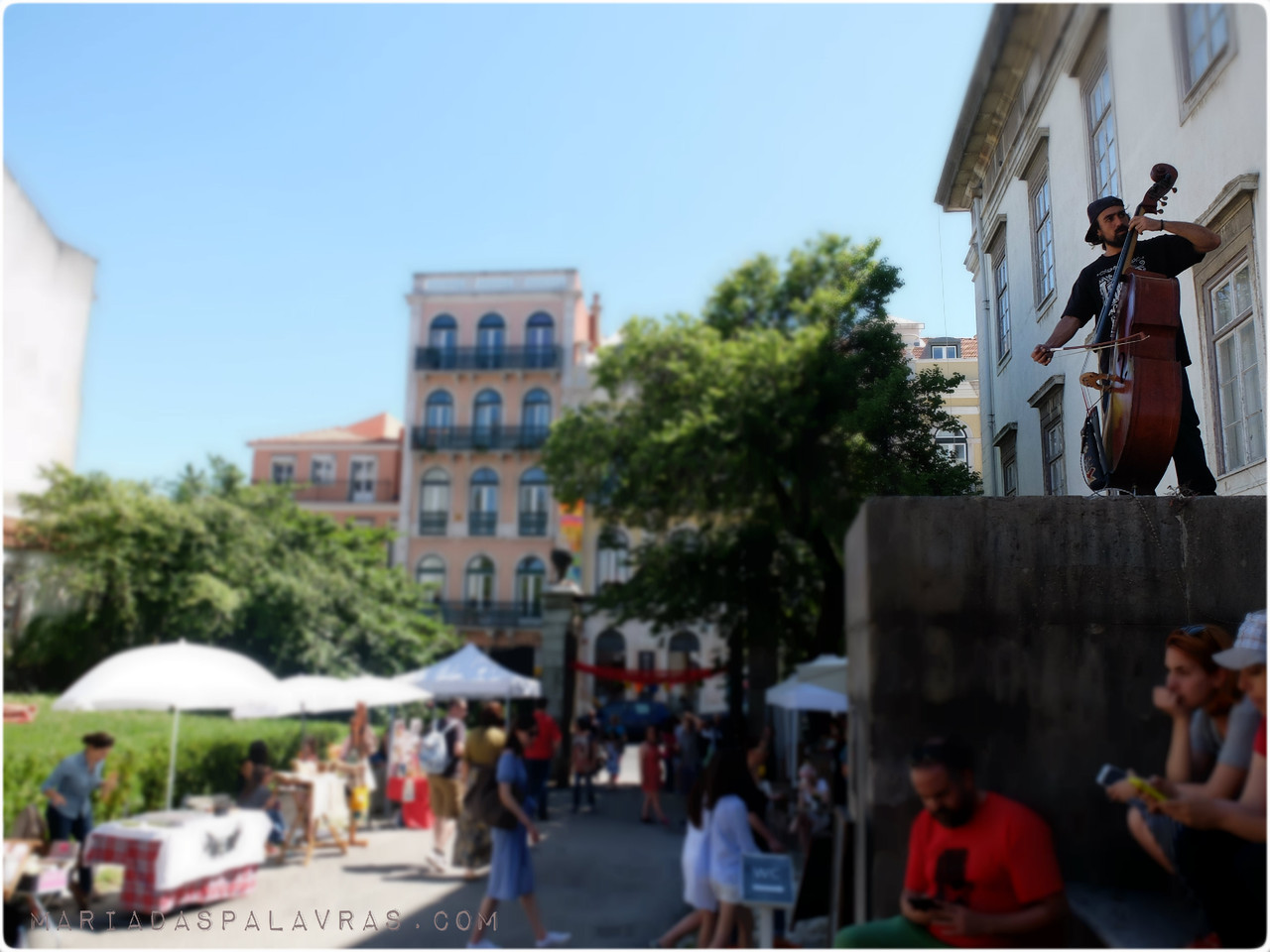 Entrada do MNHCN - O contrabaixista | Foto Maria das Palavras