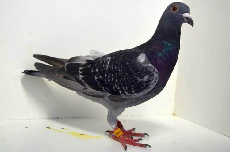 M144975-16.jpg M144975-16.jpg