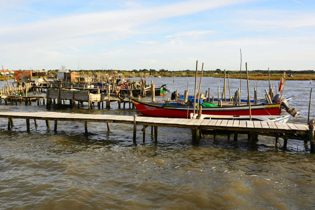 DSC_2927_01_00019.jpg DSC_2927_01_00019.jpg