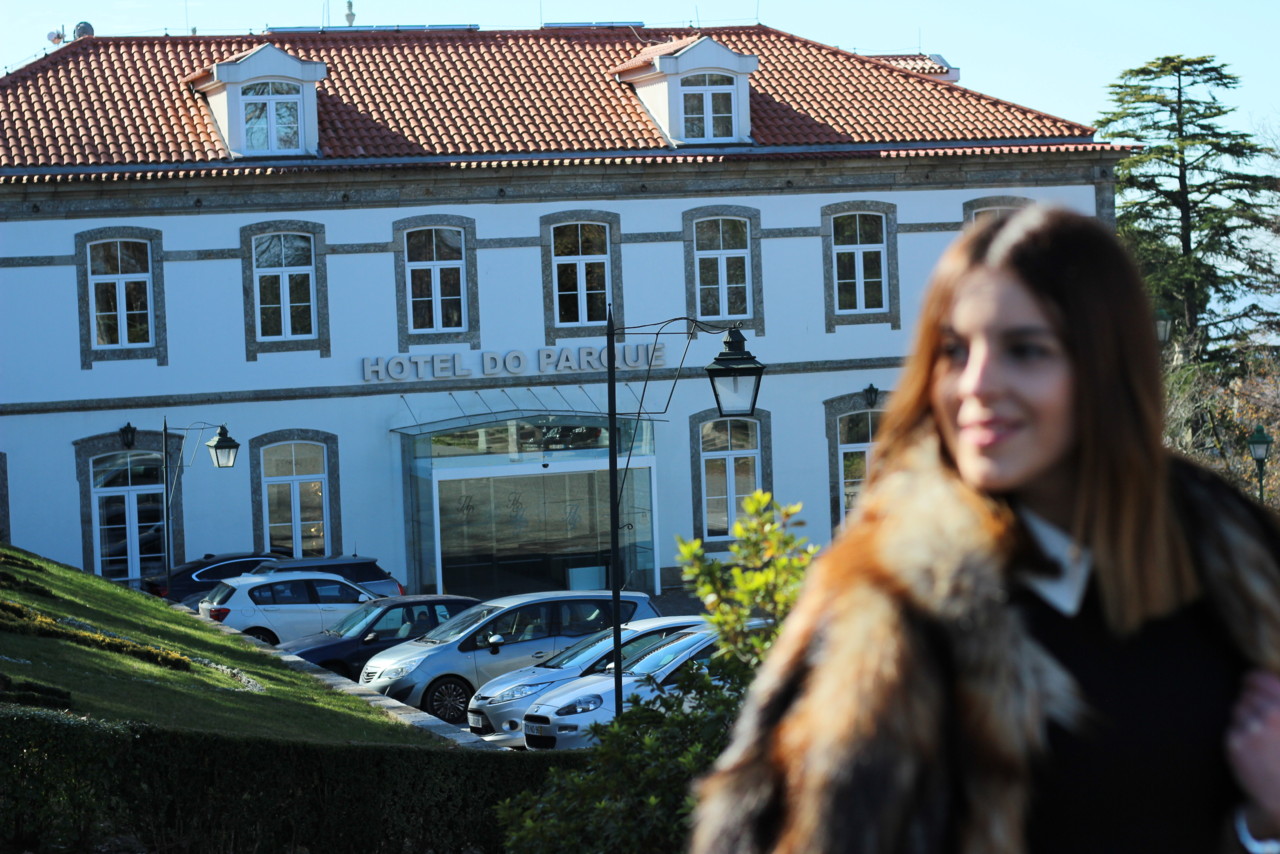 IMG_3803.JPG IMG_3803.JPG