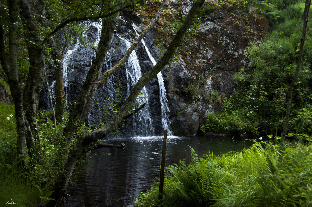 1600-firvidas (137).jpg 1600-firvidas (137).jpg