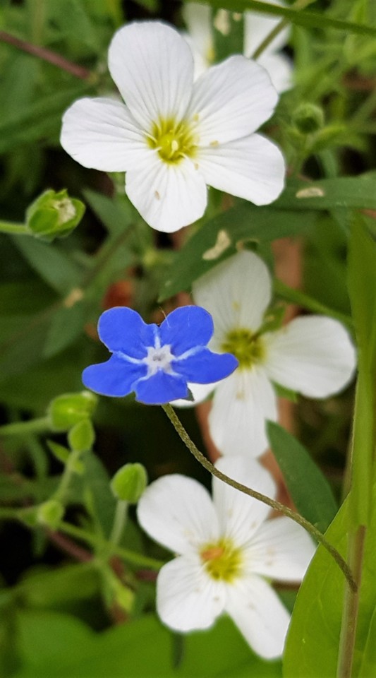 20180513_153318.jpg 20180513_153318.jpg