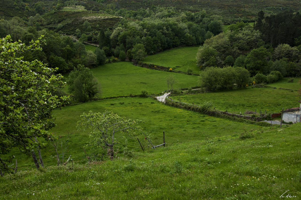 1600-pereira (56).jpg