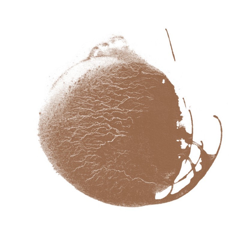 a um osso filho da mae.jpg