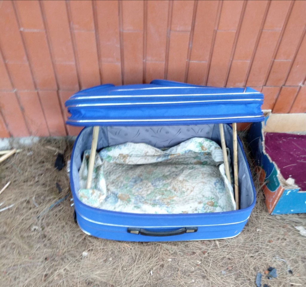 SquarePic_20200919_19005294.jpg SquarePic_20200919_19005294.jpg