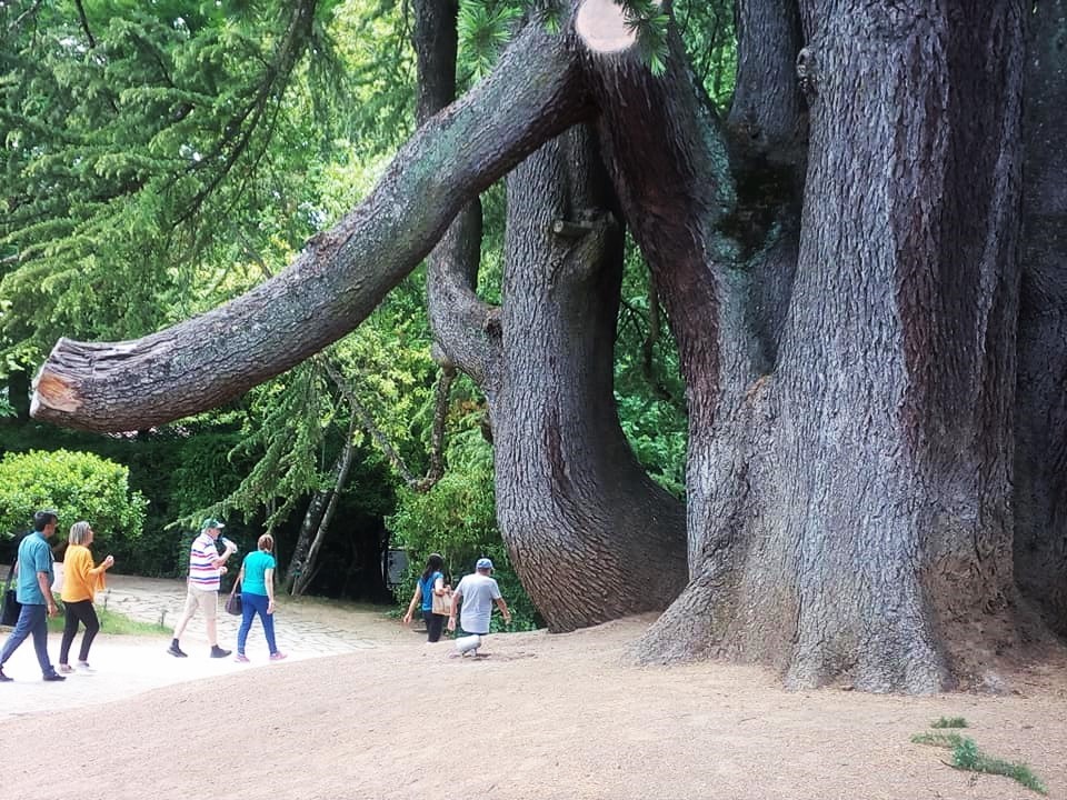 33023464_1685235221562122_1558780276102922240_n.jp 33023464_1685235221562122_1558780276102922240_n.jp