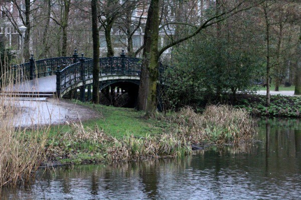 IMG_1312.JPG IMG_1312.JPG