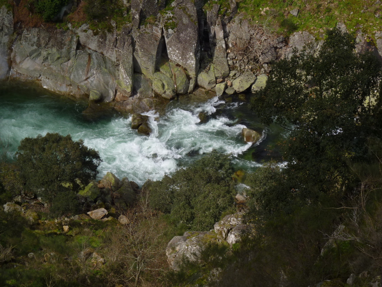 Paiva (7).JPG Paiva (7).JPG