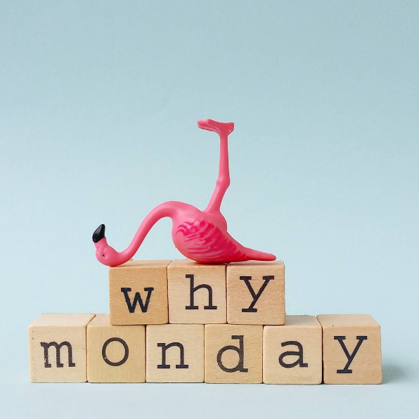 -monday • Instagram photos and videos.png