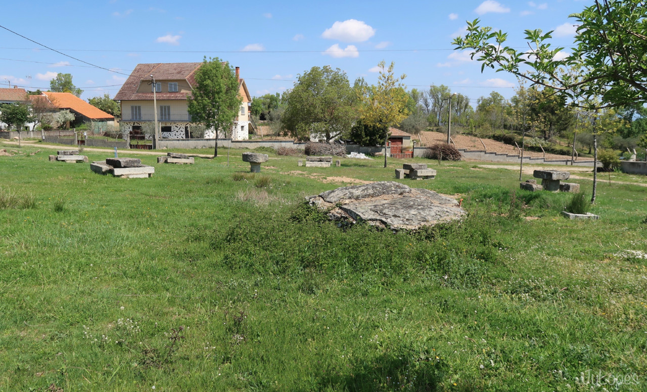 IMG_1560.jpg IMG_1560.jpg