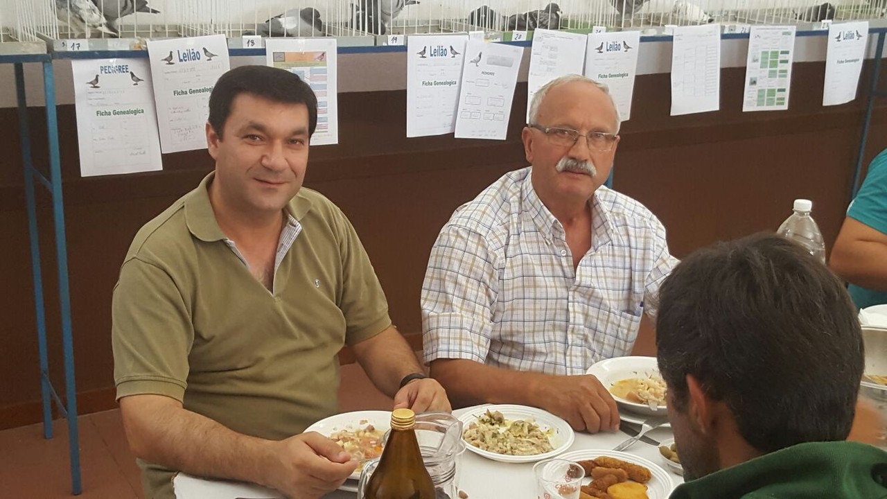 leilao pombos correio2.jpg