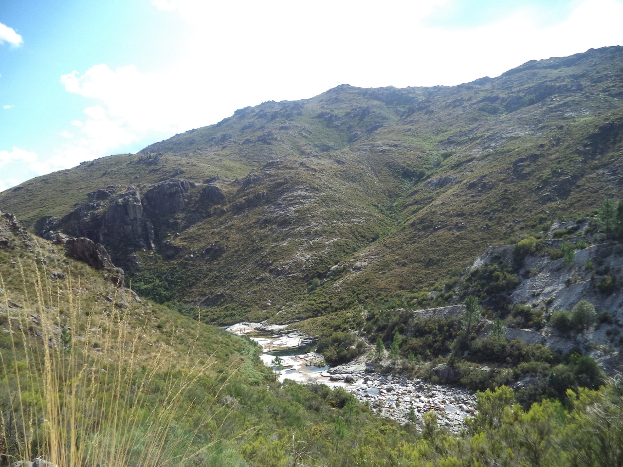 DSC08764.JPG DSC08764.JPG