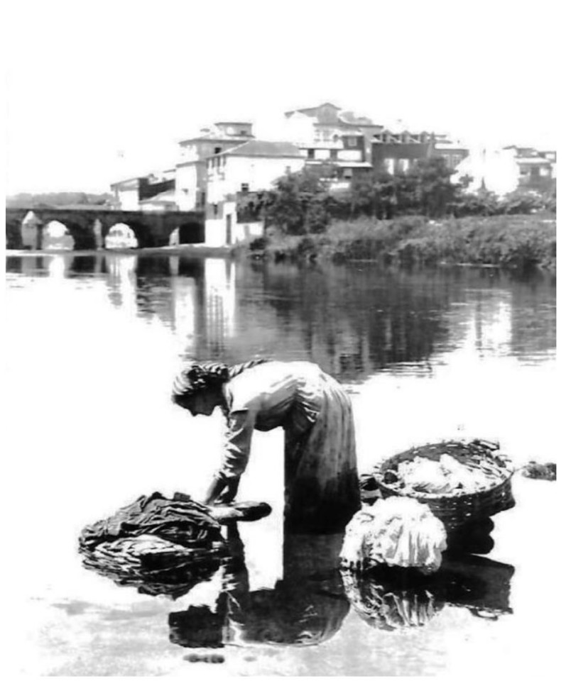 lavadeira do tamega.JPG