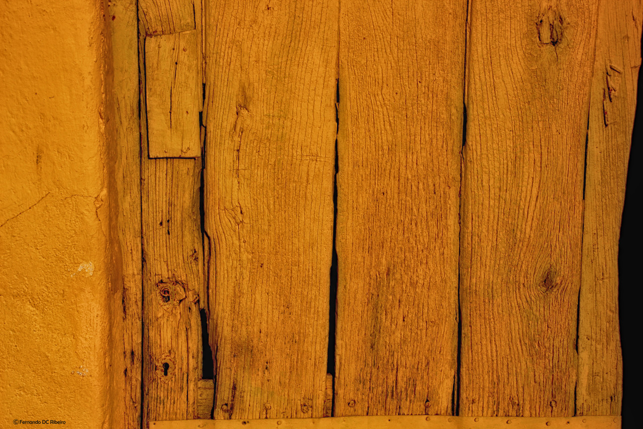 1600-tronco (54).jpg 1600-tronco (54).jpg