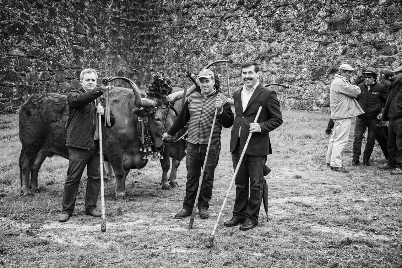 Santos 2015 (1) 251 - cópia copy.jpg