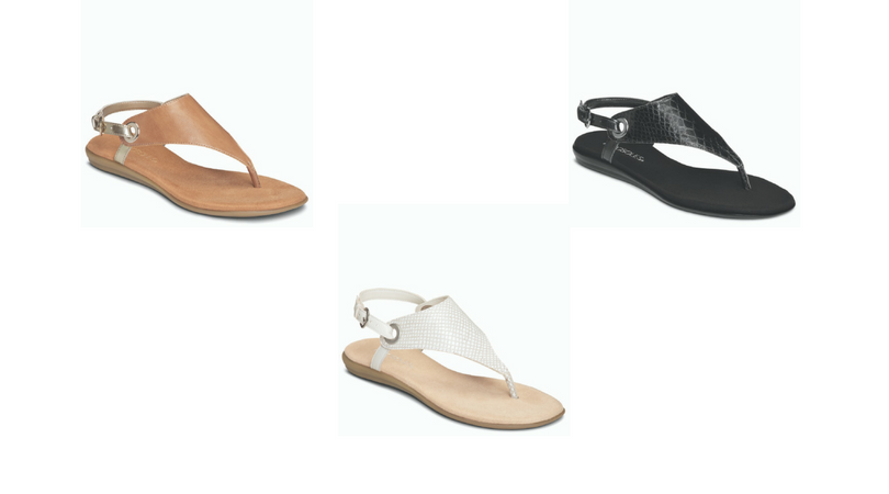 Untitled design (1).png