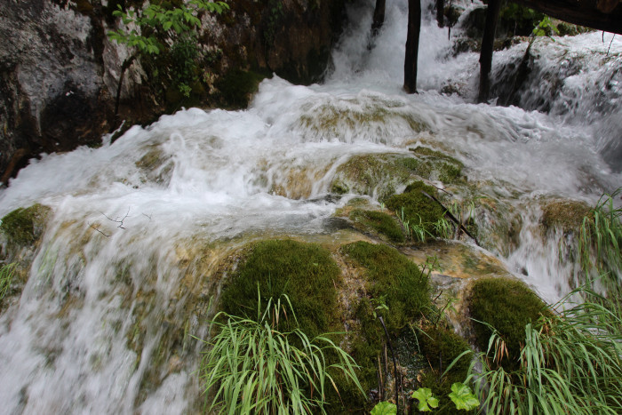 img_9681.jpg img_9681.jpg