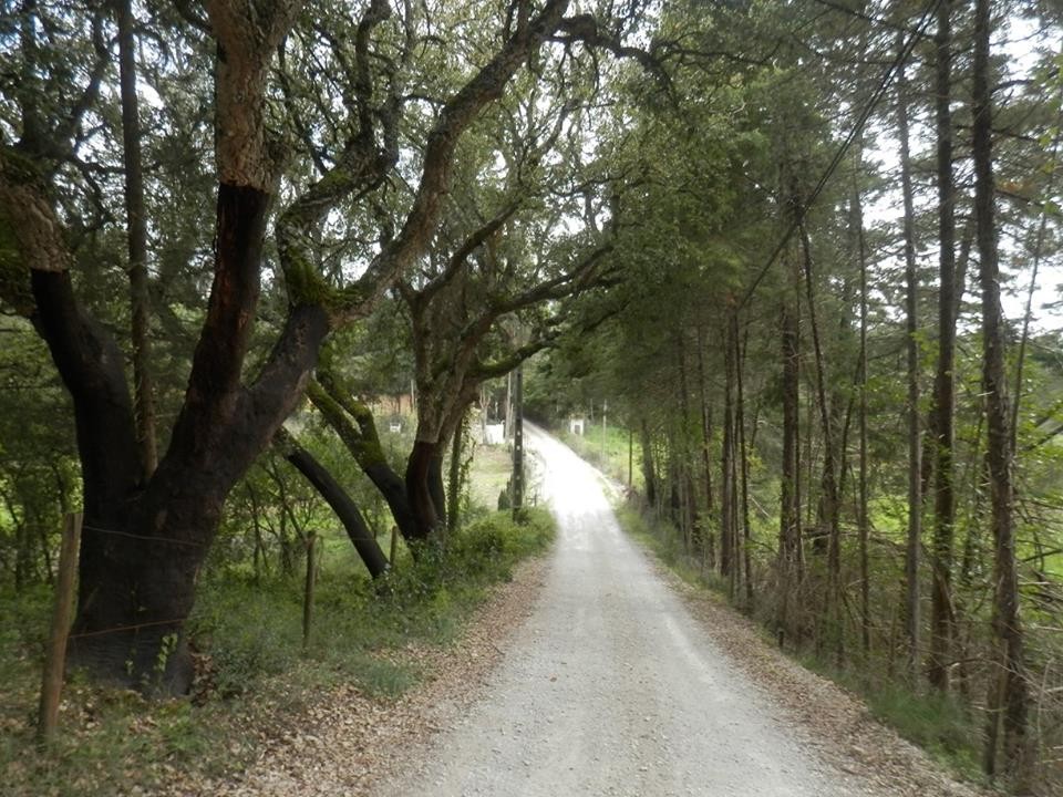 12472433_1154042237940699_6119967123464146937_n.jp 12472433_1154042237940699_6119967123464146937_n.jp