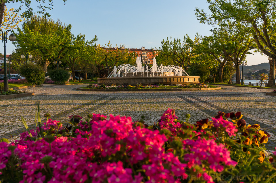 DSC02200.jpg DSC02200.jpg