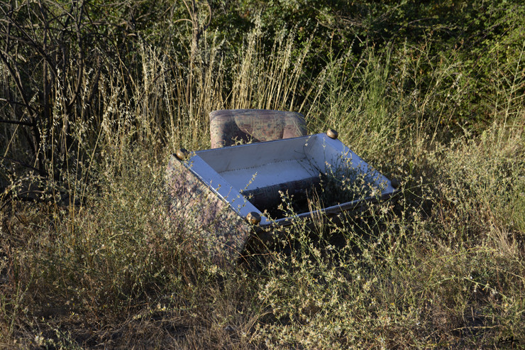 _D704703.JPG