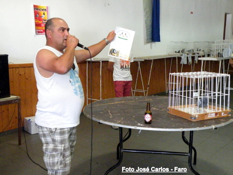 Leilão Ervidel 057.JPG