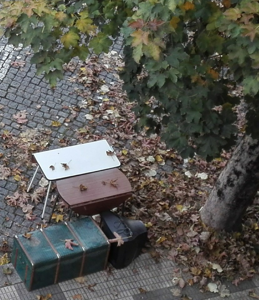 IMG_20171127_094814.jpg IMG_20171127_094814.jpg